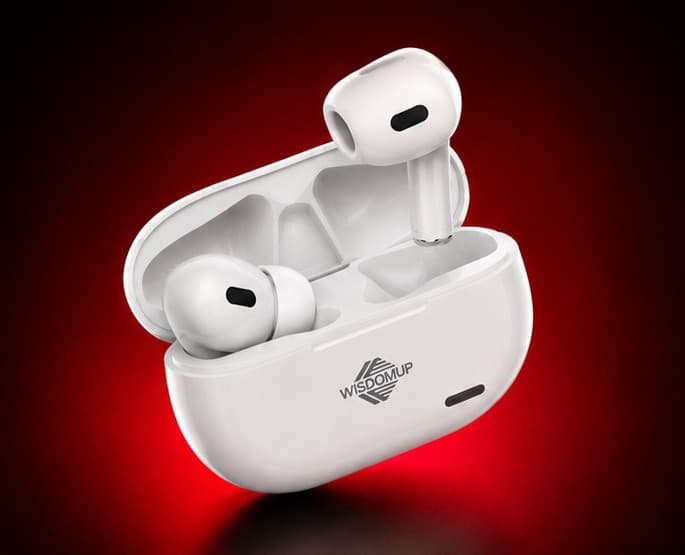 TS11 EARBUDS