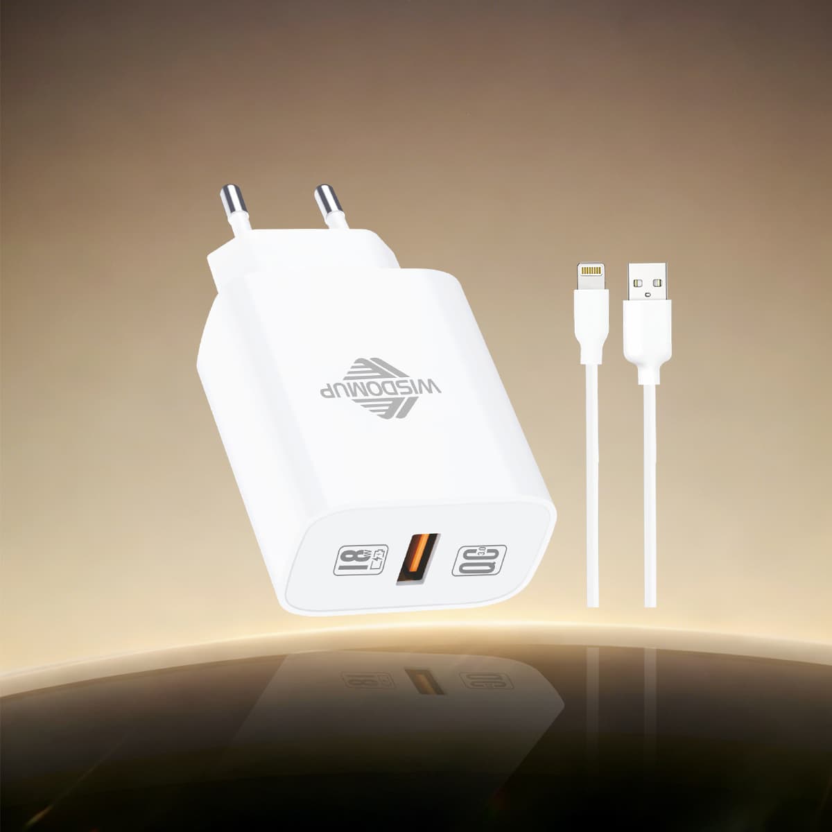 OCD-23PFast Charger