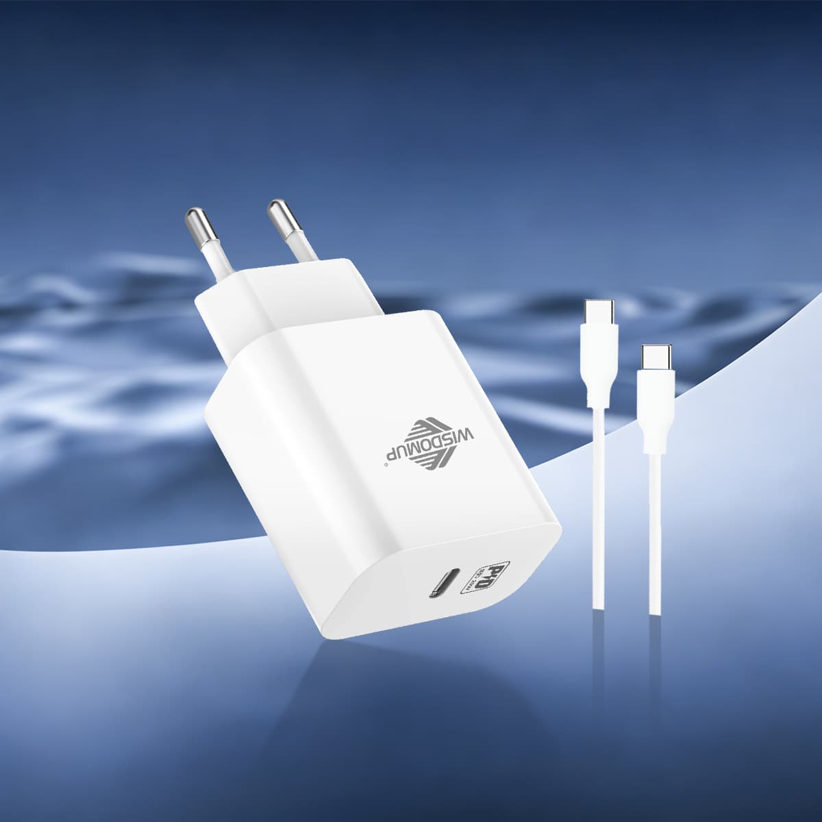 OCD-24TFast Charger