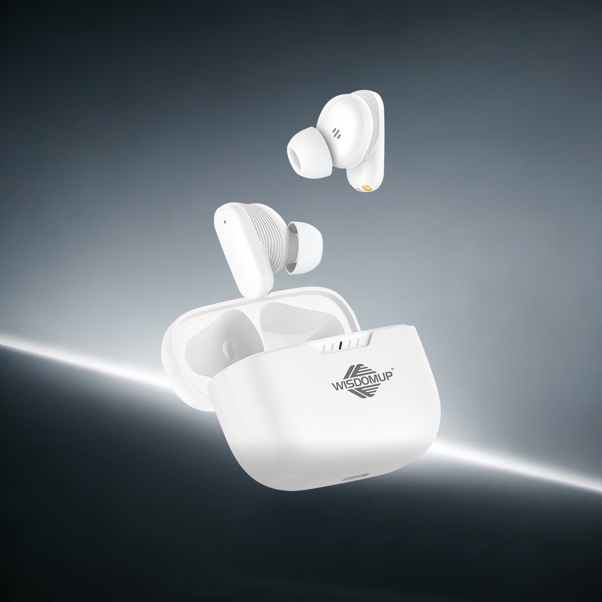 TS-10 True Wireless Earbuds