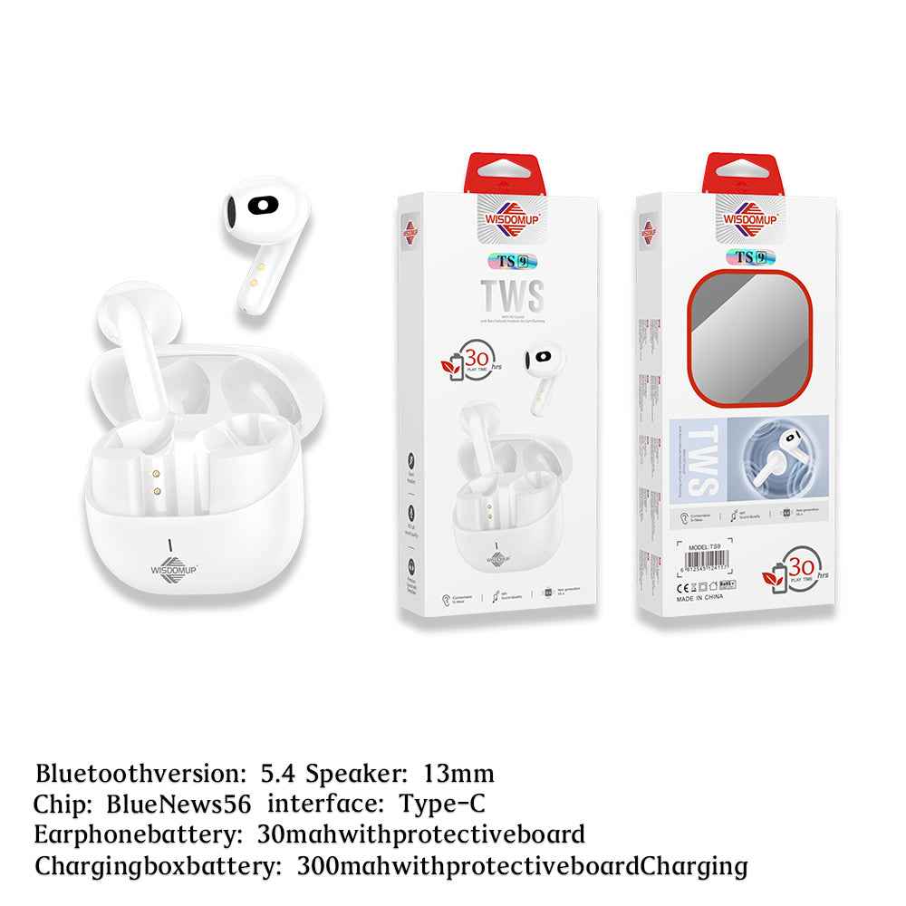 Wisdom Up Ear Bud TS-9